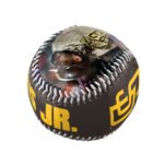 San Diego Padres Fernando Baseball