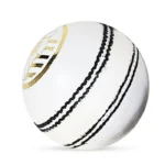 DS Cricket Ball-40 Over Chrome Leather Lacquer Finish Grade "A" Match Ball Cowhide Leather, 156 GRM - Image 3