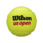 Wilson Tennis Us Open Ball - Image 3