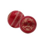 DS D1 Alum Leather Cricket Ball - Image 4