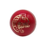 DS D1 Alum Leather Cricket Ball - Image 3
