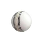 Supa Cricket Ball